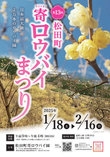 寄ロウバイまつり【松田町】