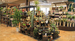 カインズ相模原塩田店