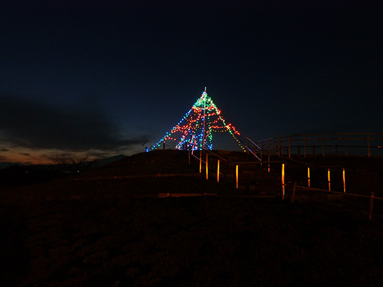 相模川沿いにある相模三川公園。クリスマスまでイルミネーションツリーも楽しめます